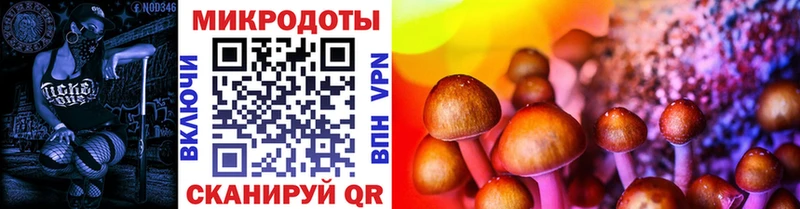 Галлюциногенные грибы Psilocybe  сайты даркнета официальный сайт  Голицыно 
